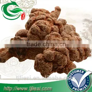 Supply Pseudo-ginseng Not Extract thumbnail-1