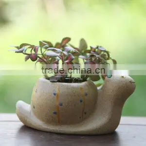 Ceramic Flower Pot With Water Indicator Desktop and Office Pot thumbnail-1