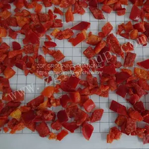 Frozen IQF Red Pepper thumbnail-1