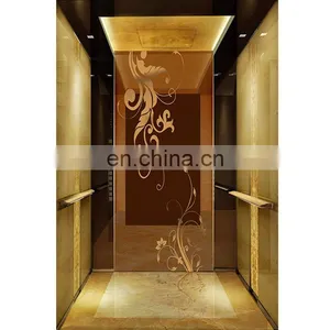 Residential Small Elevator Passenger Lift for 2 Person, Office Building Used Passenger Elevator thumbnail-3