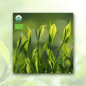 Box Green Tea Matcha Powder thumbnail-5