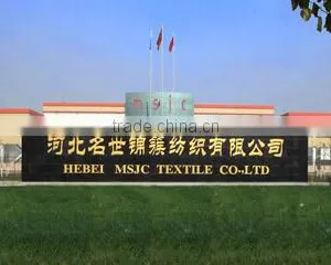 Hebei MSJC Textile Co., Ltd. company overview - view 2 thumbnail