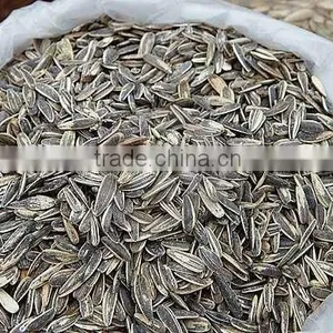 CHINESE Sunflower Seeds thumbnail-1