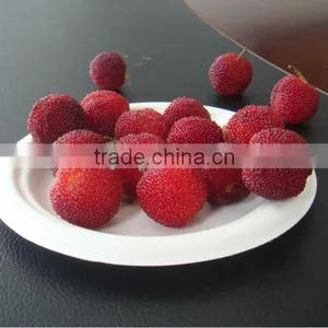High Quality Eco-friendly Plate thumbnail-3