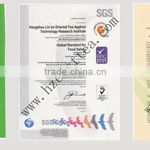 China Supplier Hangzhou Factory Organic Foods Weight Loss Slimming thumbnail-4