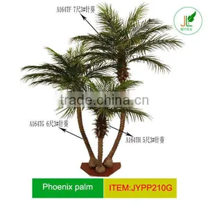 Artificial Phoenix Palm Tree in Group for Project Decor thumbnail-1