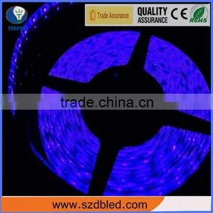 High Quality Smd 5050 Warm White Led Light Strip thumbnail-1