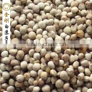 Perilla Seed for Birds/white Perilla Seed for Sale Supplier's Choice thumbnail-2