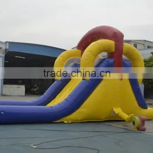 SUNJOY Funny Dolphin Inflatable House Bounce Kids Water Slide thumbnail-4