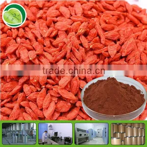 High Quality Goji Extract Polysaccharides thumbnail-1