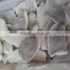 2016 New Coming Frozen John Dory Fillet for Market thumbnail-1