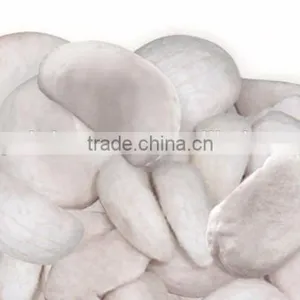 Freeze Dried Mangosteen 20 g Pack From Thailand thumbnail-2