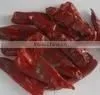 Red Chilli thumbnail-1