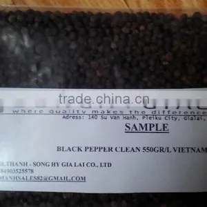 VIETNAM BLACK PEPPER BEST PRICE thumbnail-4
