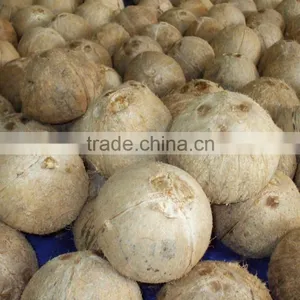 Fresh Coconut thumbnail-2