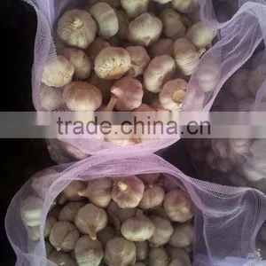 Fresh Garlic 2015 Crop thumbnail-3