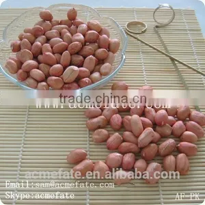 New Production Big Size Blanched Peanut Kernels(ground Nut Seeds) thumbnail-3