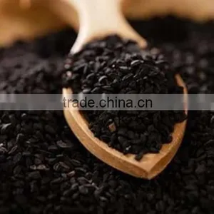 Wholesale Spice Oil Black Cumin Seed thumbnail-2
