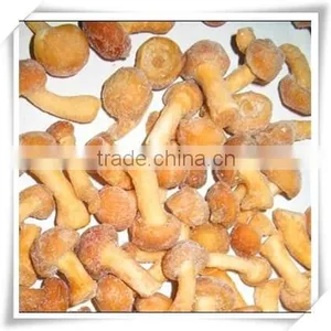 Best Selling Fresh Frozen Shiitake Mushroom thumbnail-3