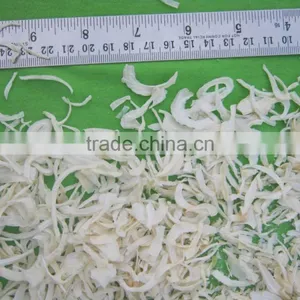 Dehydrated Onion thumbnail-1
