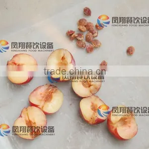 High Quality Plum Stoner, Plum Pitter, Plum Corer With CE Certificated thumbnail-2