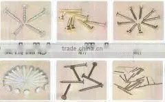 Steel Screw Coil Nail thumbnail-1