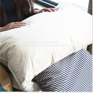 2017 Hot Sale Cotton Pillow Filled With White Goose Down thumbnail-4