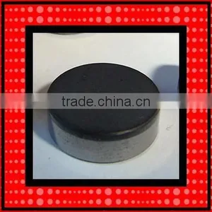 Different Size and Sharpe PDC Cutter /PDC Insert for PDC Drill Bit thumbnail-1