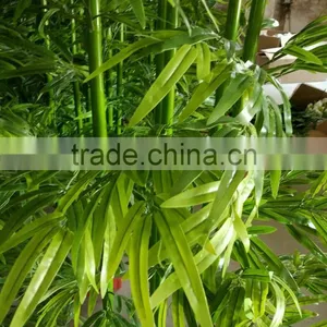 CHY030928 Landscaping Decoration Bamboo Pole/ Plastic Bamboo Stick/artificial Bamboo Plant thumbnail-3