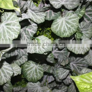 Stickers Home Garden Deco 200*200 cm Indoor or Outdoor Artificial Corner Succulent Green Climbing Plant Wall Ezwq10 103 thumbnail-1