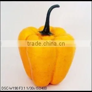 Hotting!!! 2011 Best-selling Artificial Fruit Foam thumbnail-1