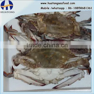 IQF Blue Swimming Crab Half Cut thumbnail-1