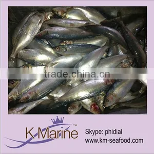 Fresh Frozen Sardines Seafood Fish thumbnail-1