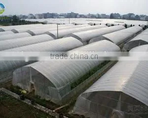 Agricultural Film Covering Vegetable Greenhouse thumbnail-2