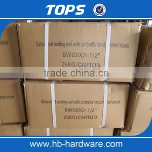 9G Electro Galvanized Roofing Nail With Umbrella Head thumbnail-6