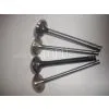 Intake Exhaust Valve thumbnail-1