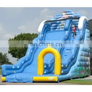HI Excited Inflatable Water Slides China, Adults and Kids Game Big Water Slides for Sale thumbnail-1
