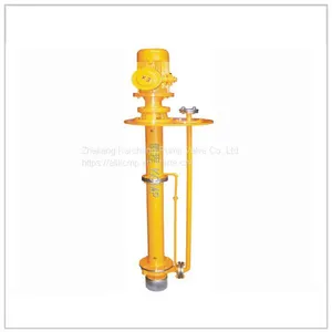 FYH Long Axis Submerged Pump thumbnail-1