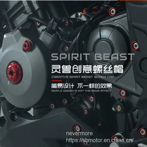 Spirit Beast Motorcycle Modified Creative Screw Cap 6mm for Huanglong 300 L1 thumbnail-2