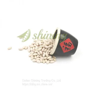 MC Quality White Spanish Kidney Bean thumbnail-1