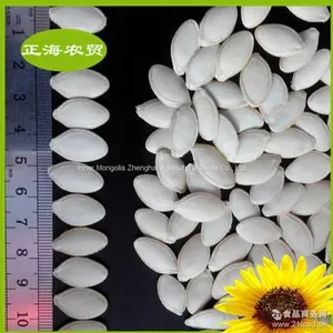 Pumpkin Seeds Shine Skin thumbnail-3