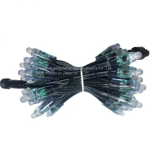Indoor Decoration, Outdoor Lighting, Advertising Lamp String 12vws2811 Full Color Exposure Lamp, American Full Color Exposure Lamp thumbnail-1