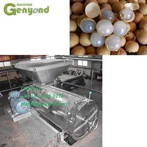 New Design Small Longan Peeling Peeler Nuclear Removal Machine for Extracting Juice thumbnail-3