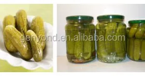 Canned Vegetable & Cucumber Production Line for Food Industries thumbnail-3