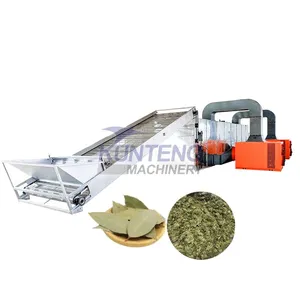 Industrial Moringa Leaf Washing Drying Grinding Packaging Production Line EPC thumbnail-1