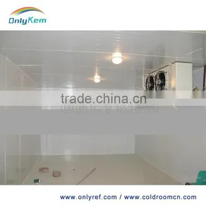 Best Quality Insulation pu Panel for Cold Storage thumbnail-3