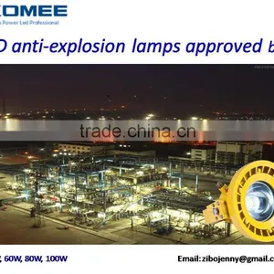 COB 30w 60w Anti-explosion LED Lamps With AC 85~265V, Exd IIBT4 Certificate Aluminum Heat Sink,, Fire Resistance Zone thumbnail-1