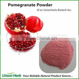 Organic Pomegranate Powder Freeze Dried With Good Pomegrate Fruit Powder Taste and Flavor thumbnail-1
