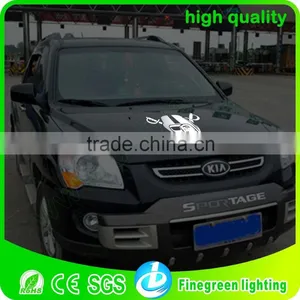 Waterproof Sound Activated el Car Sticker, el Car Body Sheet, thumbnail-5