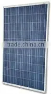 Mono and Poly Solar Modules thumbnail-1